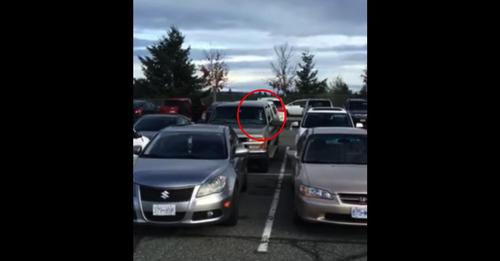 Dad Captures Hilarious Moment On Camera After Leaving Dog In Car While Getting Groceries