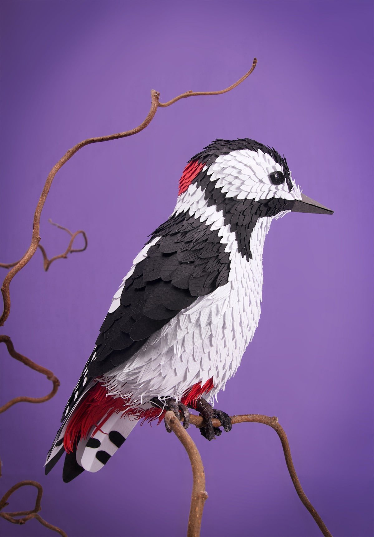 paper sculptures