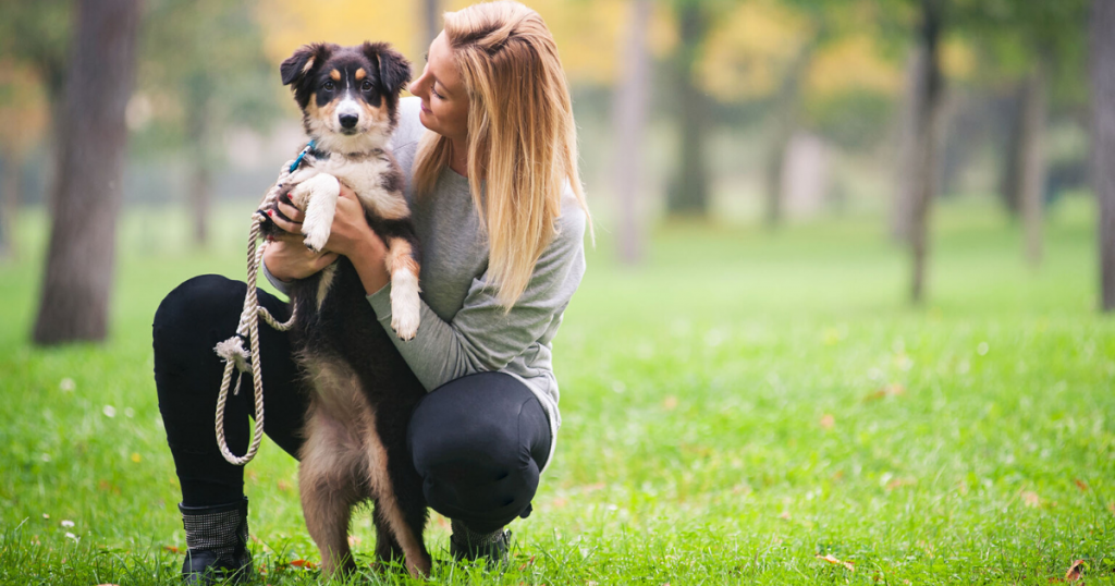 Adopting A Dog
