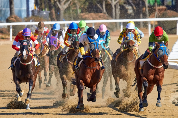 Interesting Horse Racing Facts 