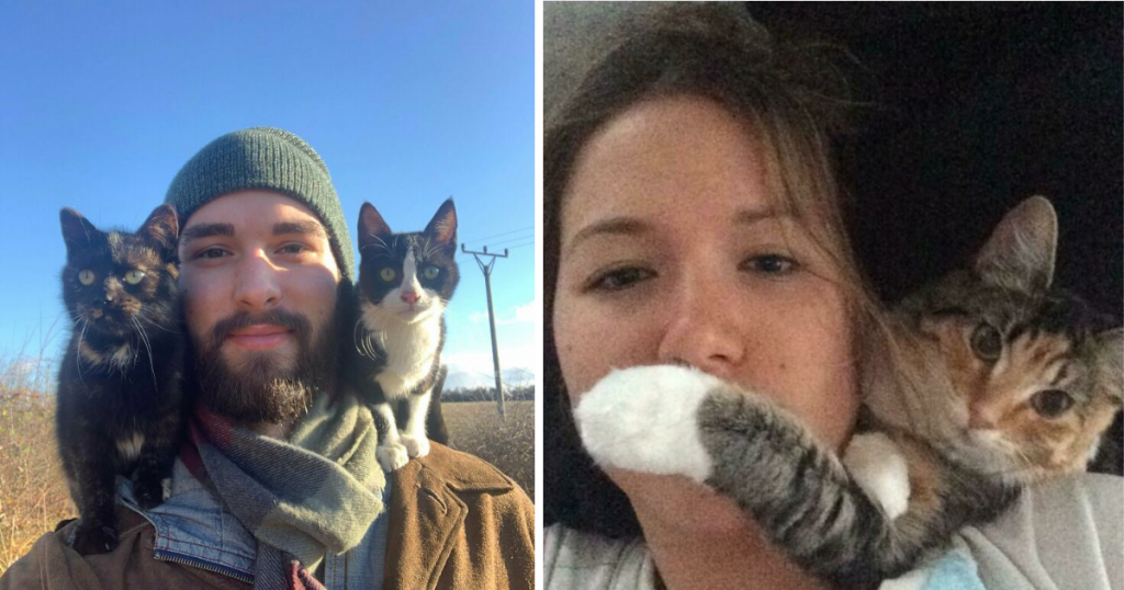Shoulder Animals 