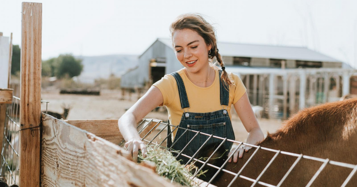 Tips For Setting Up Your Property For Farm Animals