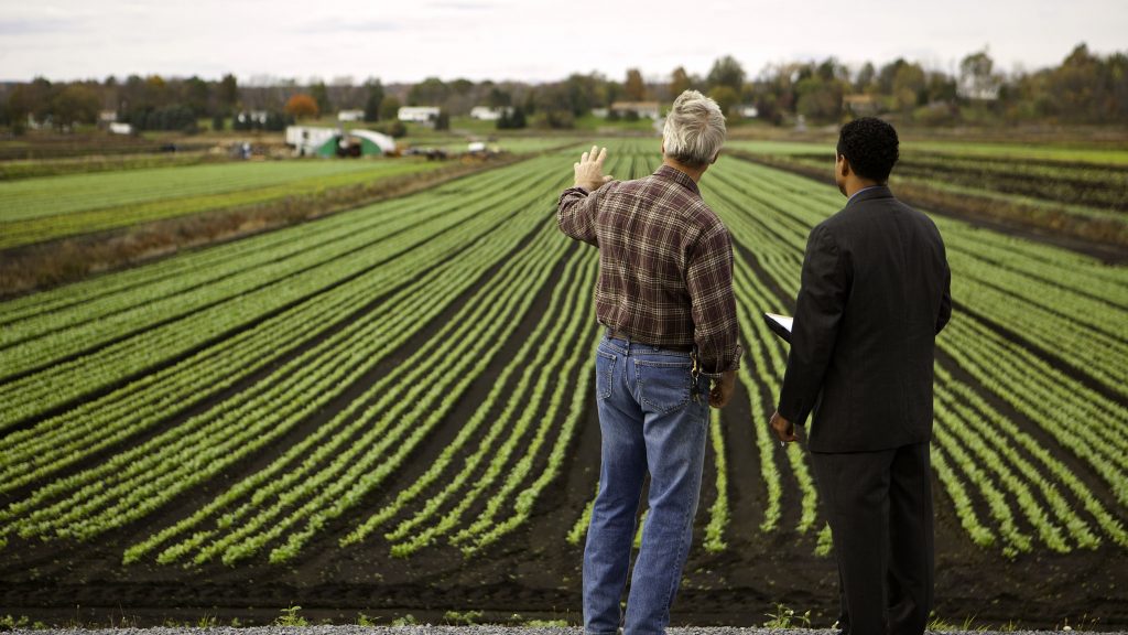 Tips For Setting Up Your Property For Farm Animals