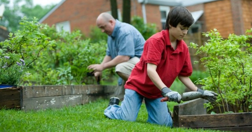 3 Ways To Help Your Home Garden Flourish