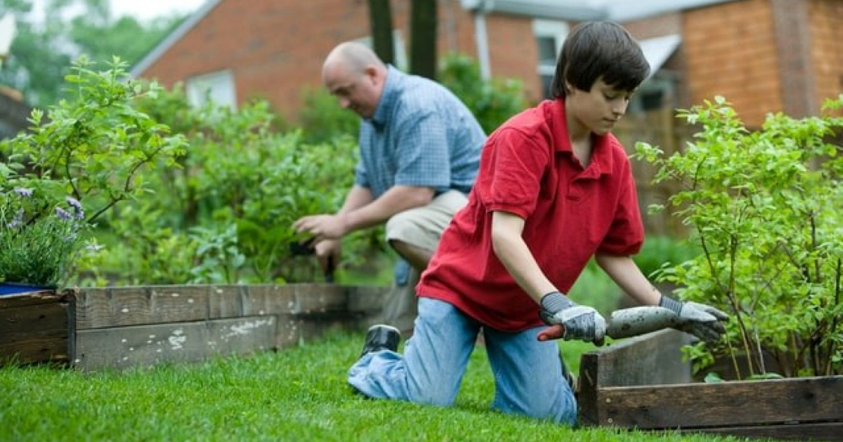 3 Ways To Help Your Home Garden Flourish