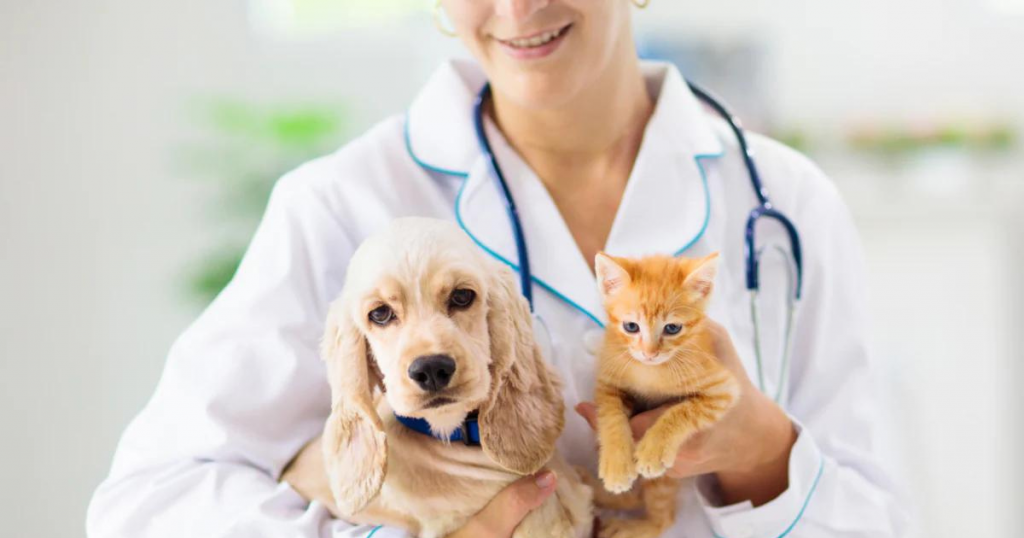 Become A Veterinarian
