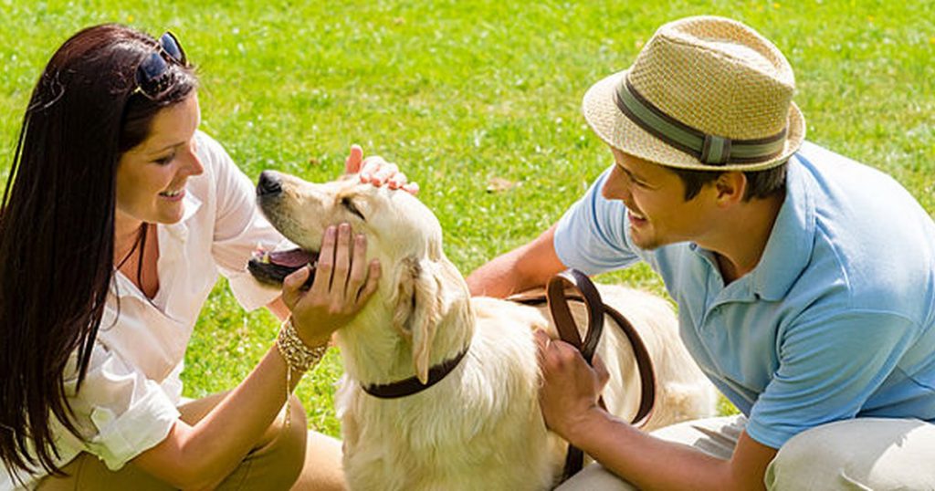 How to Love Your Dog