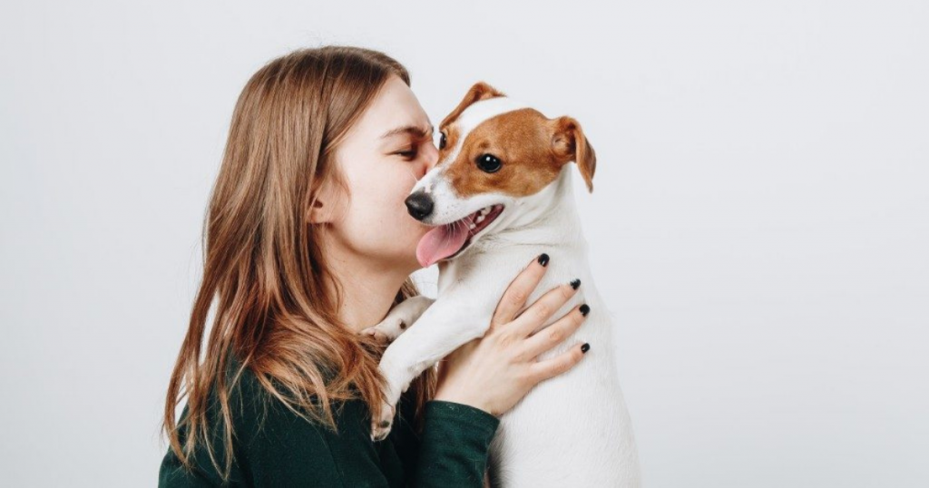 What Is An Emotional Support Animal