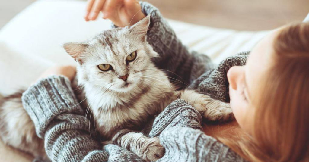 Cat Care Tips