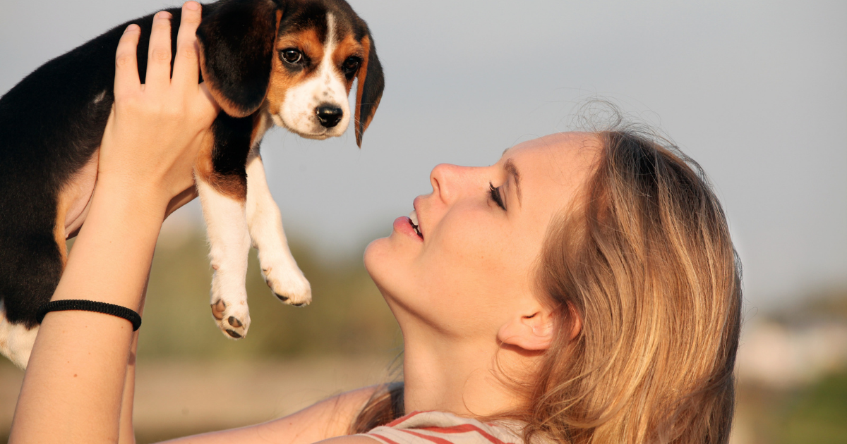First Time Dog Owner Checklist
