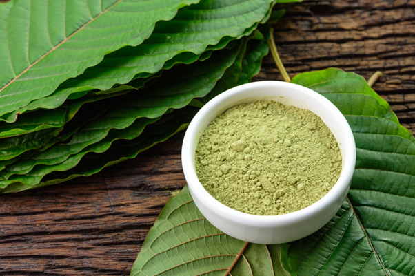About Smoking Kratom Powder