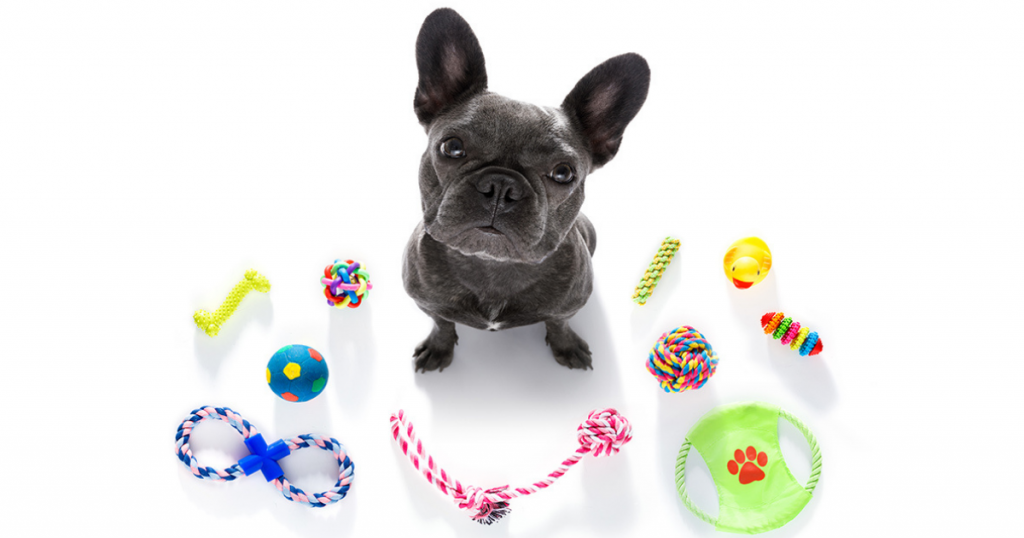 Latest Pet Accessories