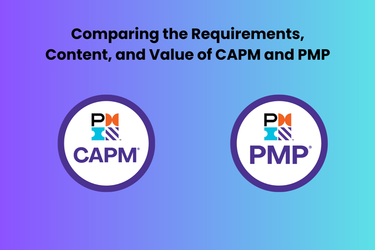 Value of CAPM and PMP 